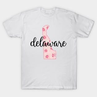 delaware T-Shirt